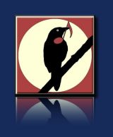 Blackbird Audio/Gallery