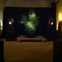 enter the den of the Duke!  Trenner & Friedl's flagship speaker driven by Jeff Rowland's electronics and all were then linked together by Cardas Clear.