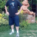 There are monkeys everywhere!