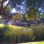 Along the morning walks in Santee Ca.