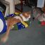 record cats